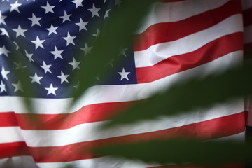 american flag of united states of america