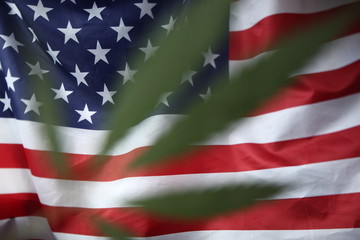 Fototapeta premium american flag of united states of america
