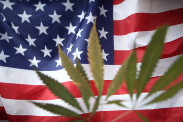 american flag of united states of america