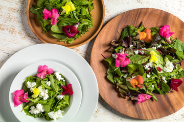 きれいな食用花　エディブルフラワー　Edible flower salad
