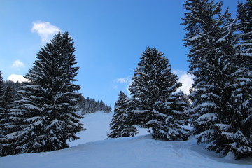 Zauberhafte Winterlandschaft