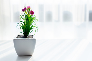 Flowerpot on the white table in a home office