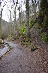 On the way to Drachenschlucht dragon´s canyon in Eisenach, Thüringen in Germany