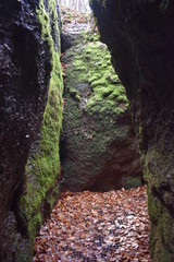 Beautiful green mossy Drachenschlucht dragon´s canyon in Eisenach, Thüringen in Germany