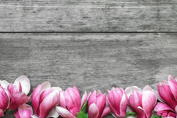 Beautiful pink magnolia flowers on rustic wooden table with copy space for your text. top view....
