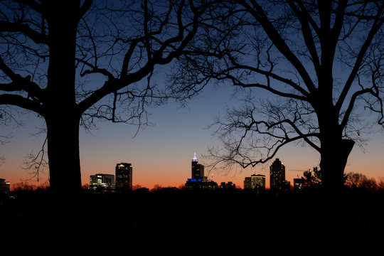Downtown Raleigh as seen from between two barren oak trees at Dorothea Dix Park on a chilly winter during morning twilight.