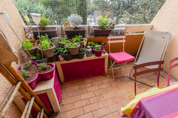 Naklejka premium plantations on an apartment terrace