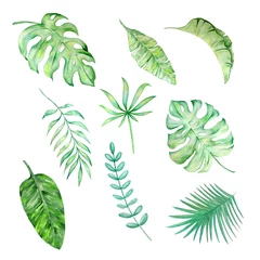 Afwasbaar Fotobehang Tropische bladeren watercolor tropical leaves