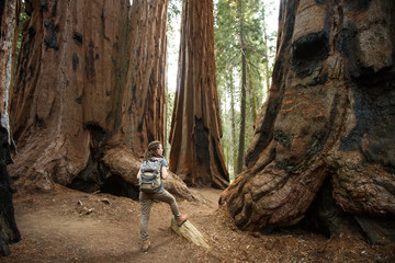Hiker in Sequoia national park in California, USA