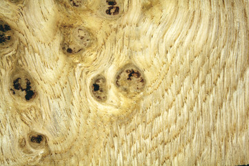 colored wood texture closeup