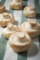 Mushrooms close up