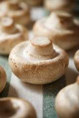 Mushrooms close up
