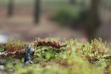 Kleine Welten