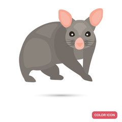 Brashtail possum color flat icon for web and mobile design