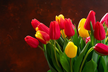 red and yellow tulips
