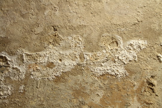 eine feuchte Kellerwand