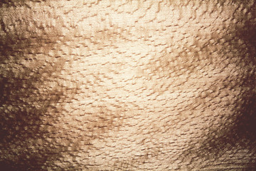 colored wood texture closeup