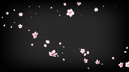 Nice Sakura Blossom Isolated Vector. Magic Showering 3d Petals Wedding Paper. Japanese Blurred Flowers Wallpaper. Valentine, Mother's Day Spring Nice Sakura Blossom Isolated on Black