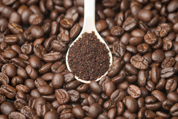 Topview Coffee powder in the white Spoon over the coffe beans
