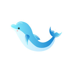 Bottlenose dolphin swimming isolated on white background