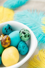 easter eggs and colored feathers