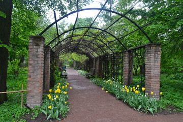 old gate in the park