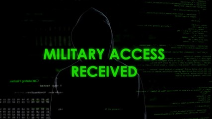 Cyberspace thief received military access, spying government data system