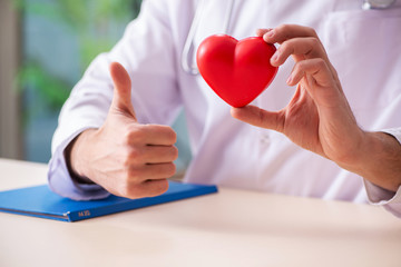 Male doctor cardiologist holding heart model 