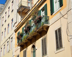 Fototapeta na wymiar Green balcony in Lisbon