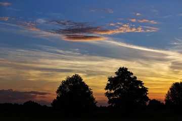 Fototapeta na wymiar Sylwetki drzew na tle pieknego kolorowego nieba o zachodzie słońca