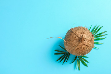 Tropical coconut with palm branch on color background, space for text