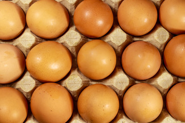 Raw chicken eggs in cardboard egg box close-up