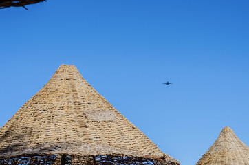 a large passenger plane carries tourists on an unforgettable vacation, where there are palm trees, sea and sun - 255779201