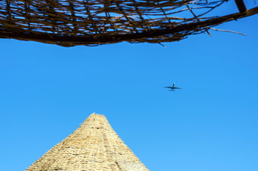 a large passenger plane carries tourists on an unforgettable vacation, where there are palm trees, sea and sun - 255779218