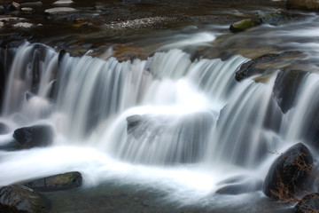 torrente di montagna acqua filante