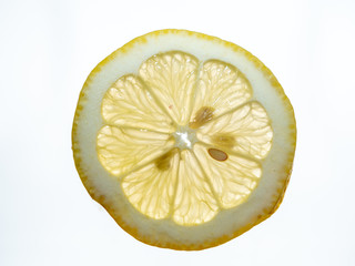 Translucent Backlit Wheel of Lemon Isolated on White