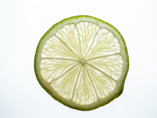 Translucent Backlit Wheel of a Key Lime Isolated on White - Powered by Adobe