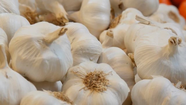 Big beautiful heads of white ripe garlic on the market counter