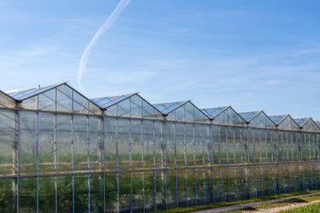 Naklejka premium Treibhäuser auf dem Land