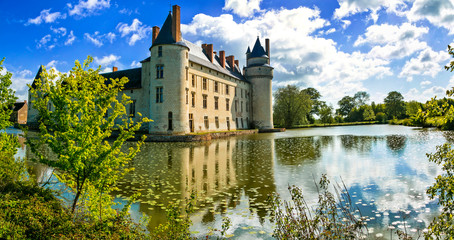 Romantic medieval castles of Loire valley - beautiful Le Plessis-Bourre, France