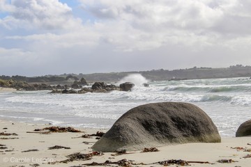 Mer 