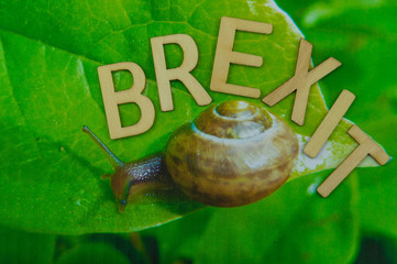 Brexit