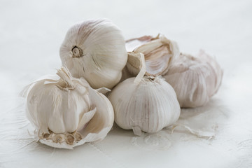 Fresh garlic on a white background 