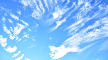 Fototapeta na wymiar Flushed, fluffy white clouds scatter in full light blue sky.