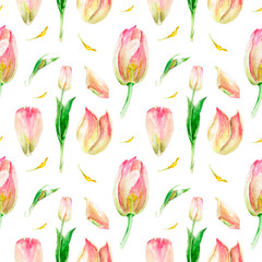 watercolor drawing flowers in a cut, tulip, seamless pattern