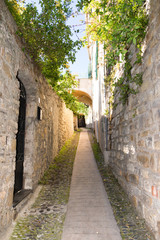Fototapeta na wymiar Picturesque alley in the medieval village