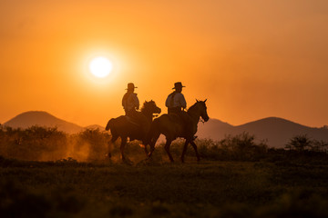 silhouette two cowboys ride with they horses under sunset - 255785830