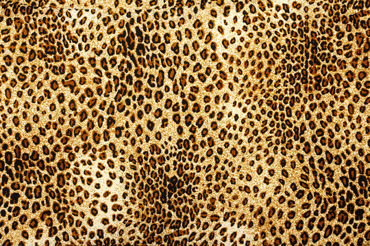 Leopard skin pattern texture. Leopard texture background. Animal print. Leopard fur texture. 