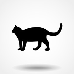cat icon vector illustration.