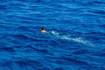 Tourist snorkeling in a Red sea. Summer vacation concept